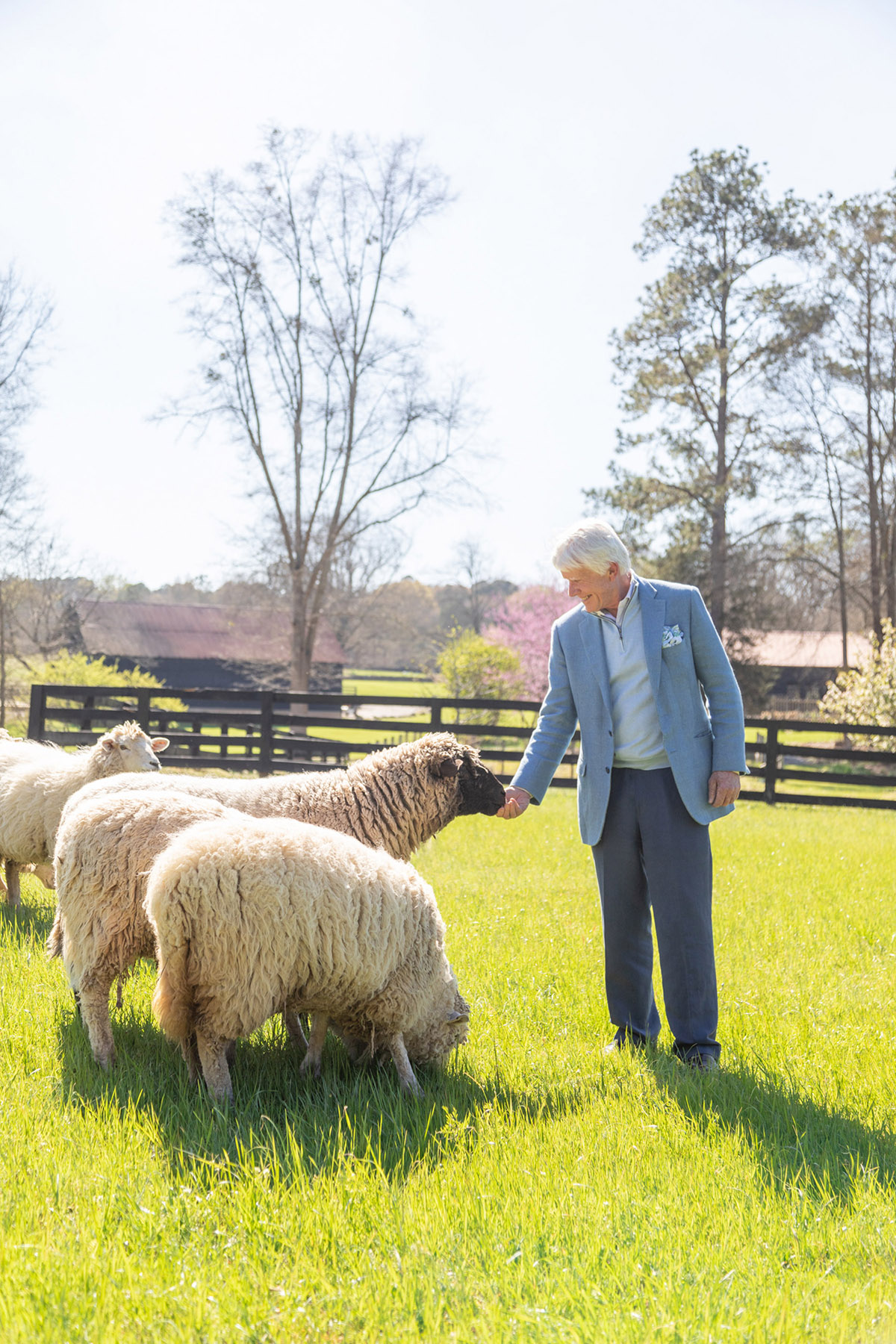Steve Nygren Serenbe with Sheep
